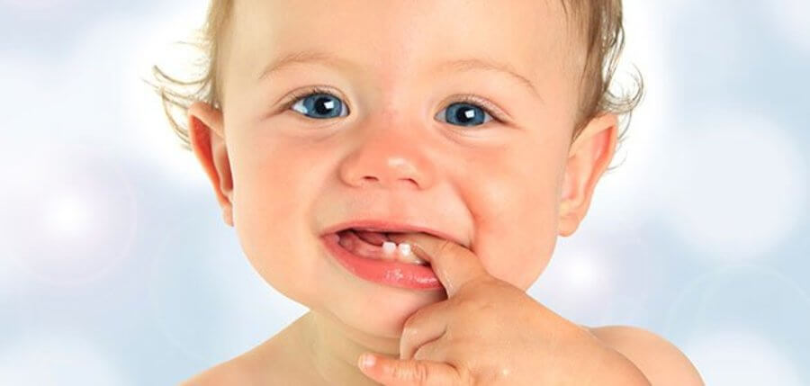 bebé con 2 dientes